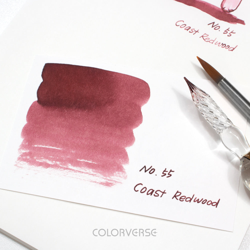 No.55 Coast Redwood