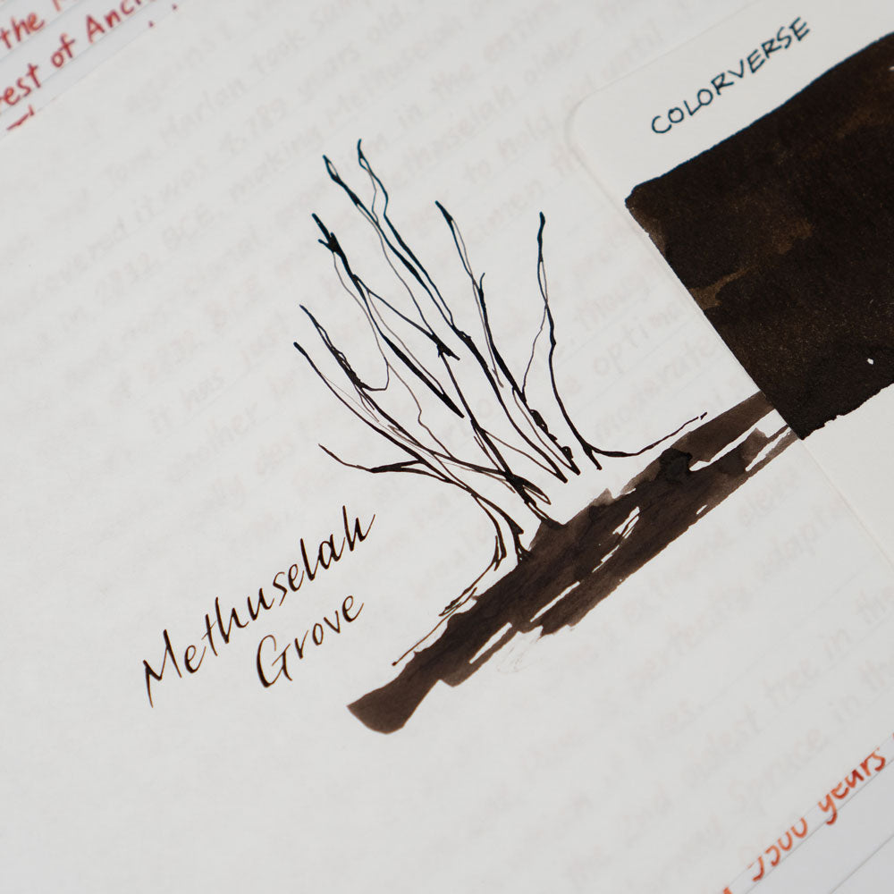 No.57 Methuselah Grove