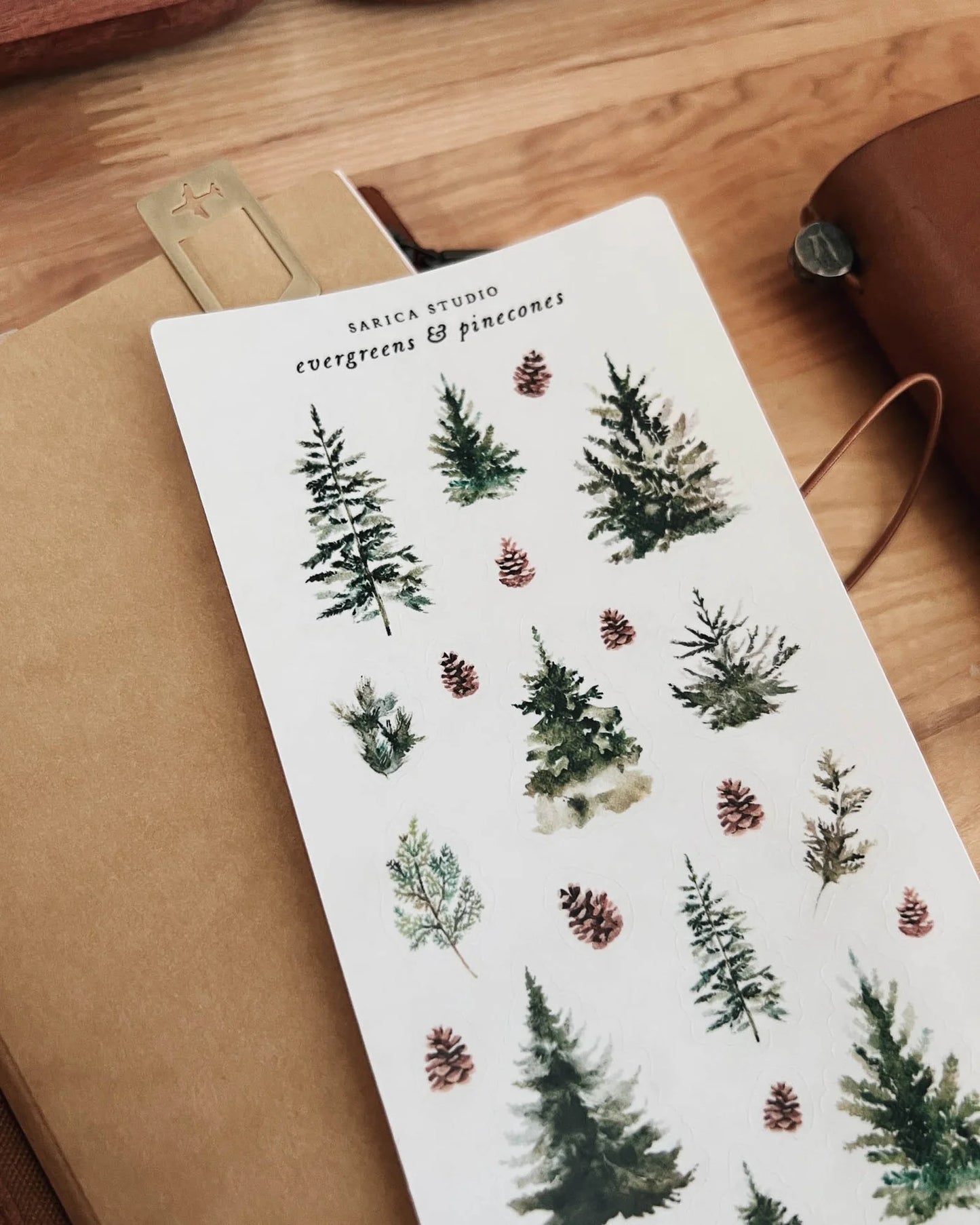 Evergreens & Pinecones Sticker