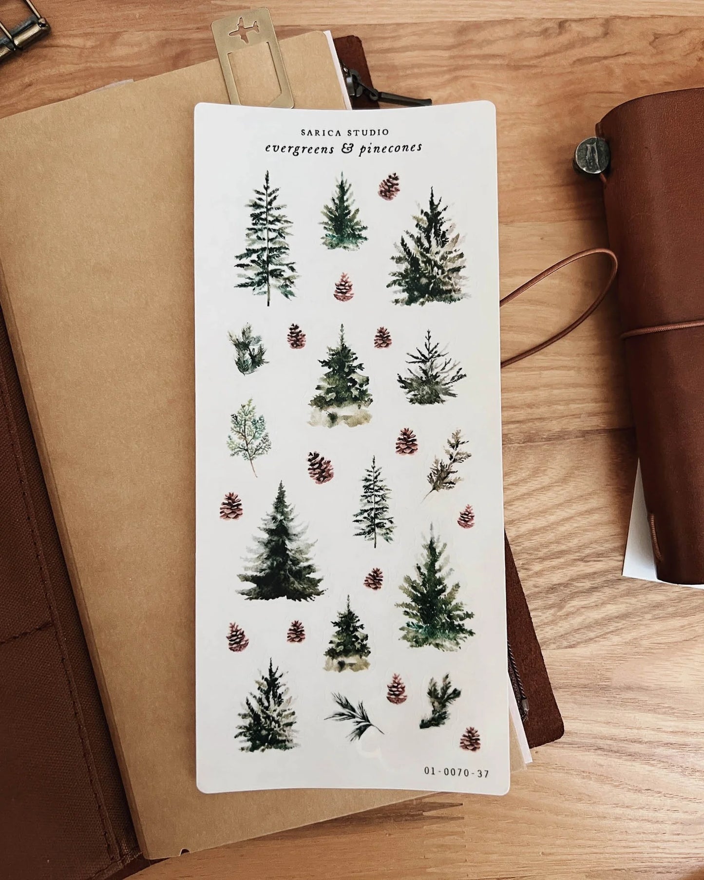Evergreens & Pinecones Sticker