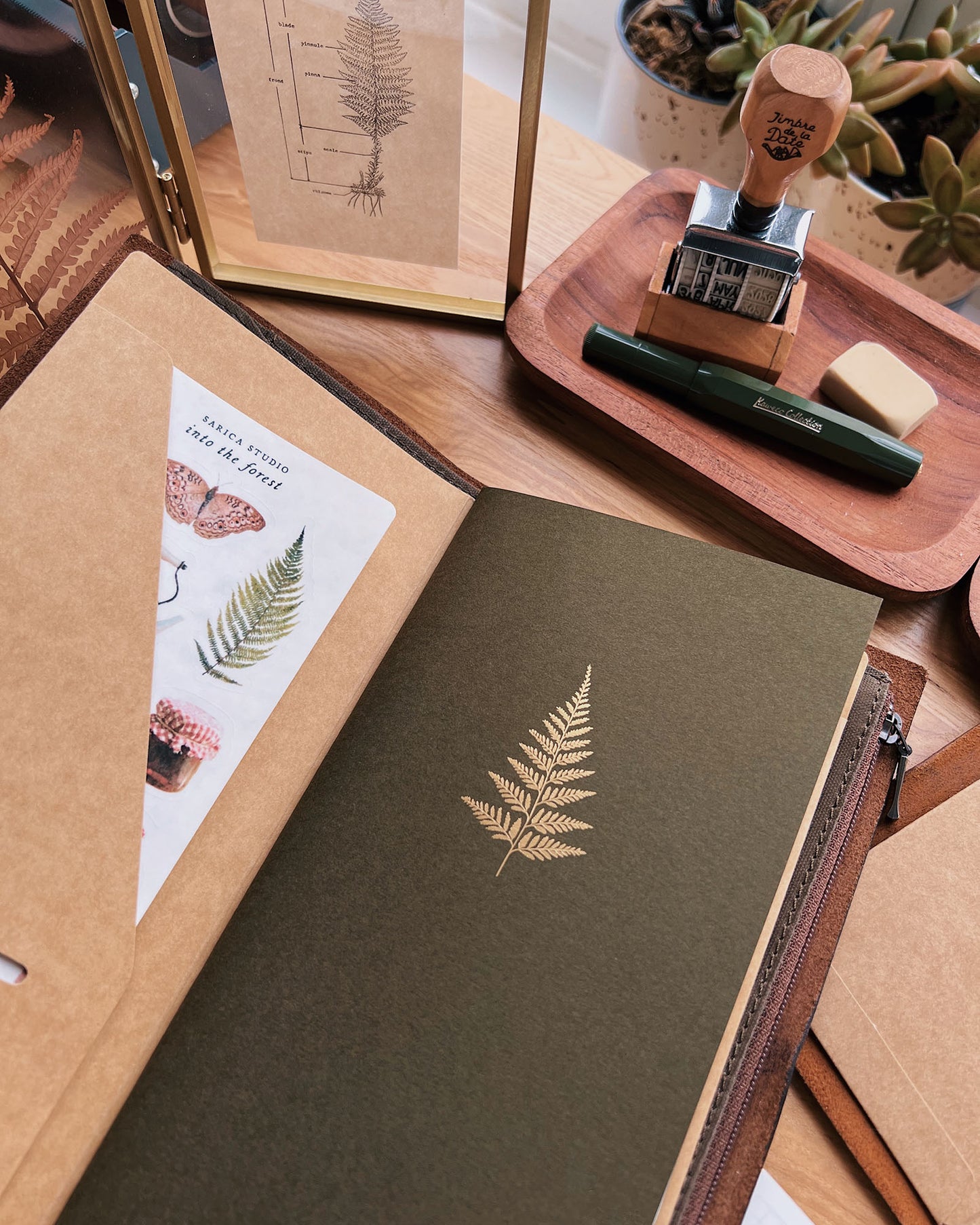 Fern Notebook - Regular Size