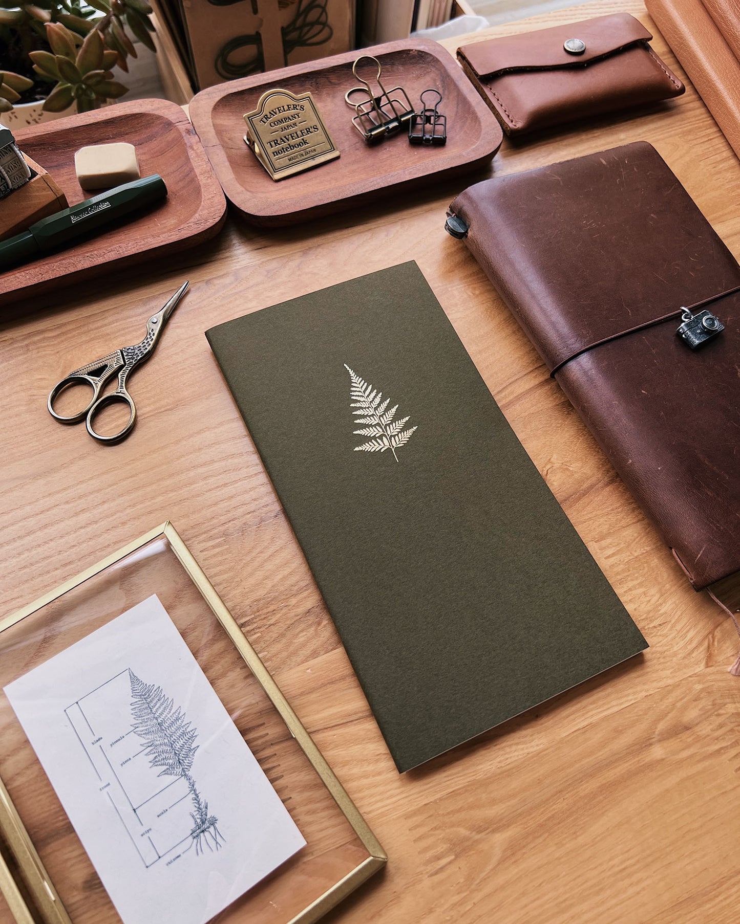 Fern Notebook - Regular Size