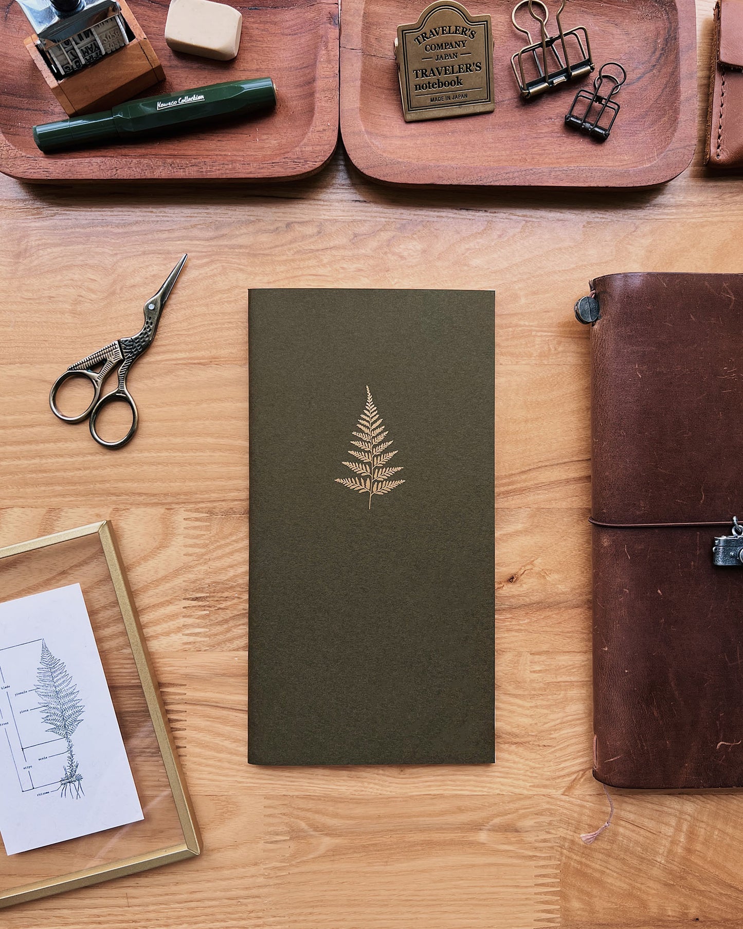 Fern Notebook - Regular Size