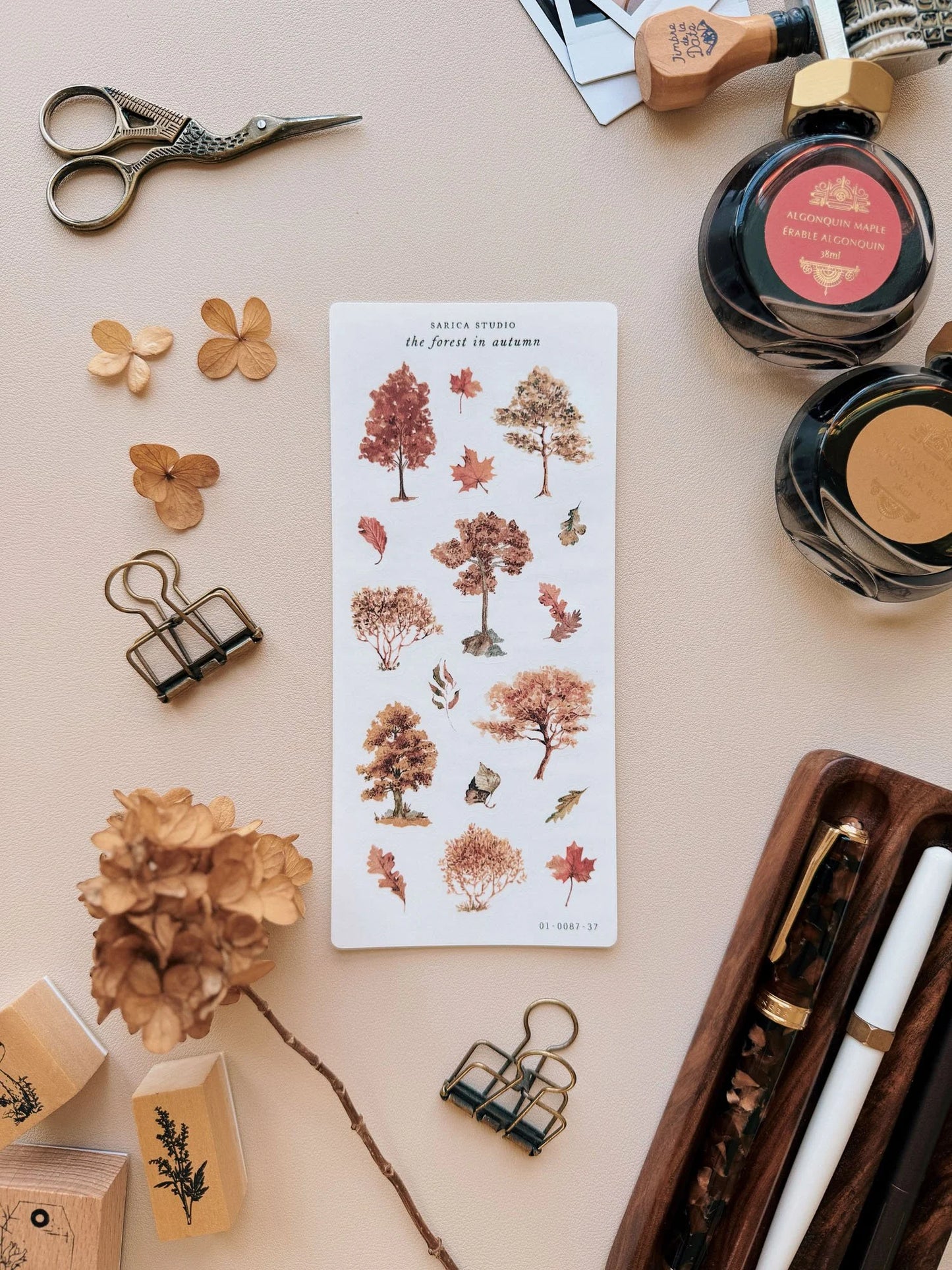 The Forest in Autumn Sticker