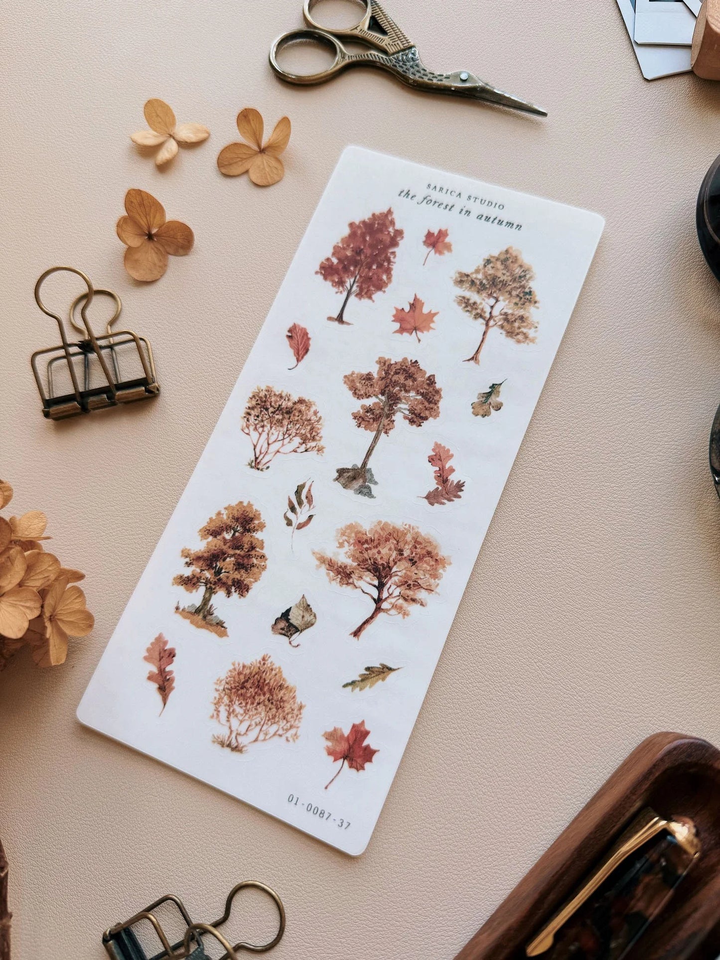 The Forest in Autumn Sticker