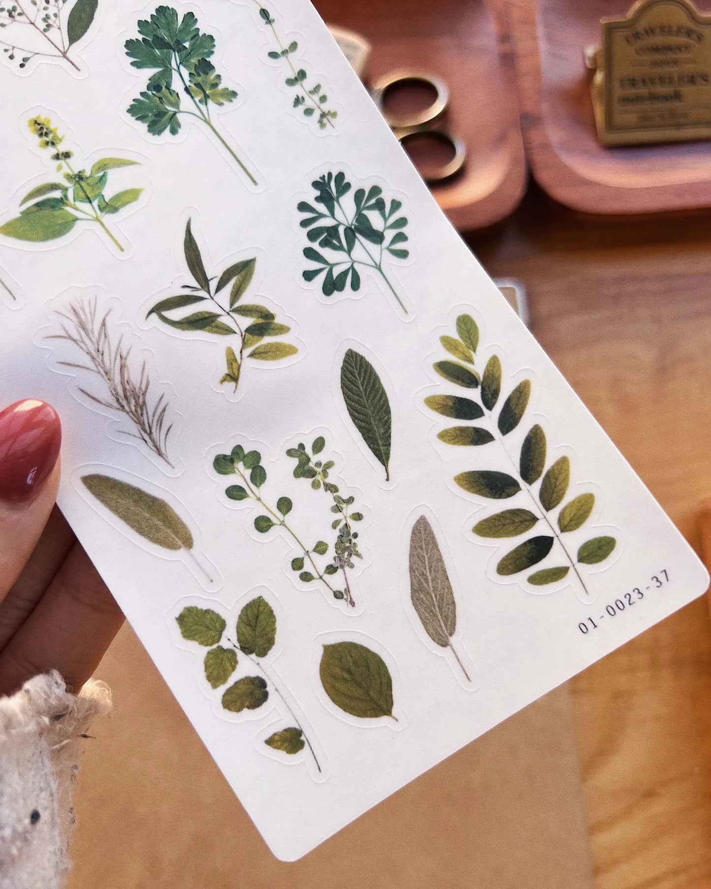 Green Leaves & Herbs Sticker