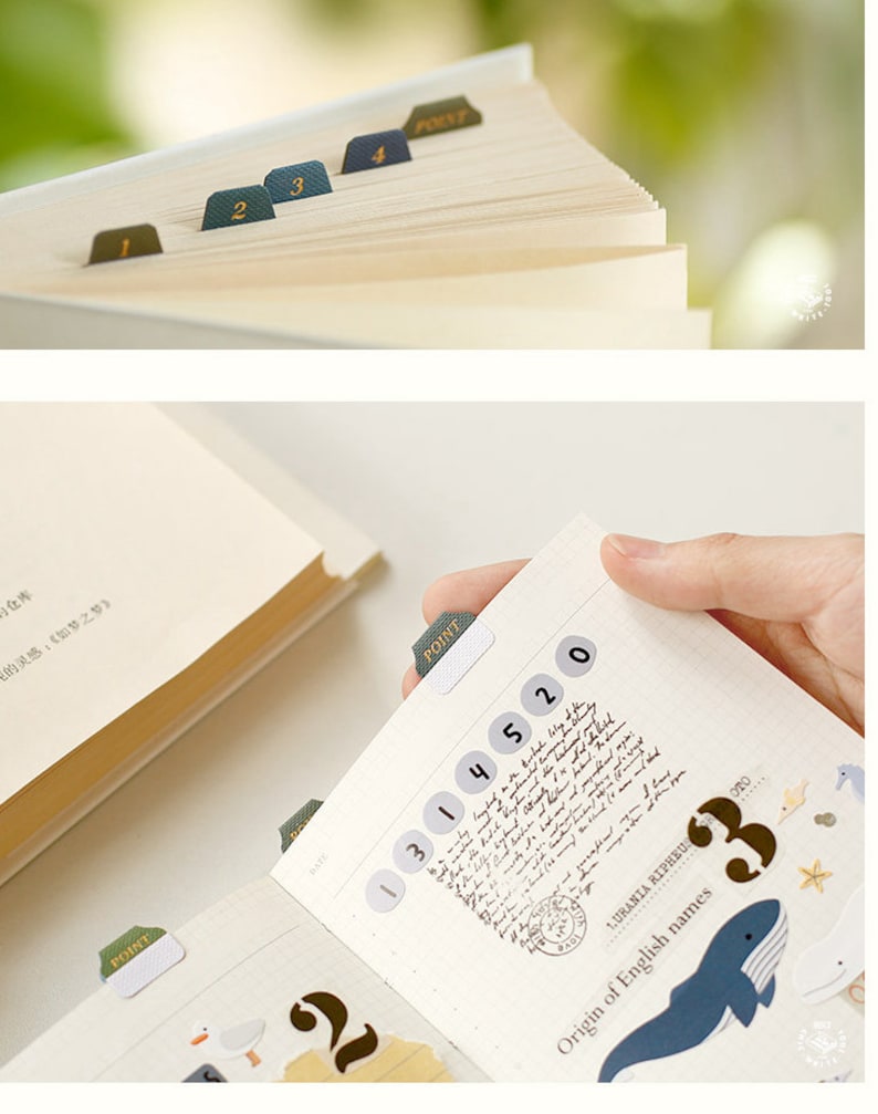 Gradation Colour Index Tabs Stickers