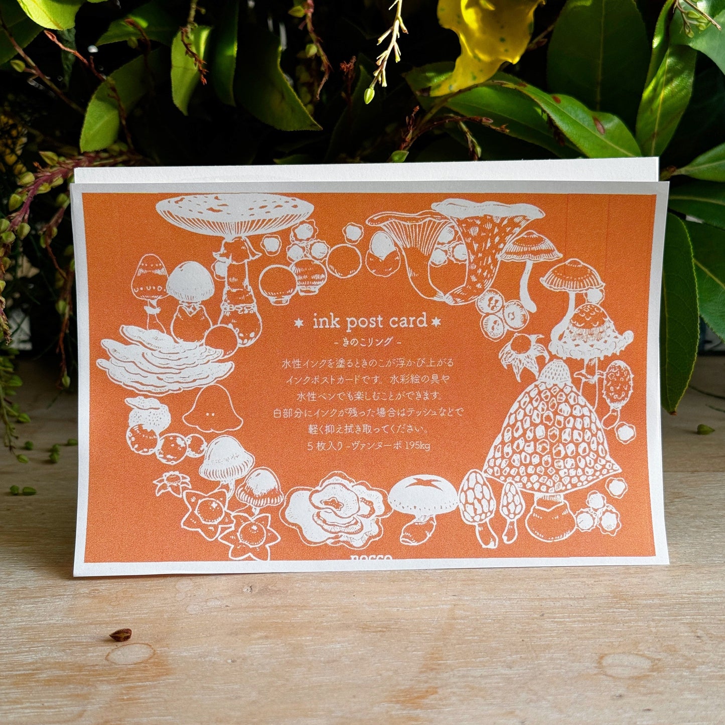 Mushroom Ink Postcard - Mushroom Ring