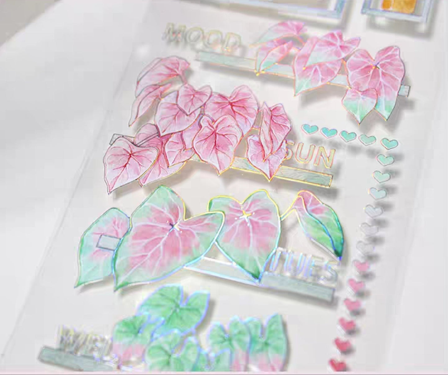 Caladiums (Angel Wings) PET Tape