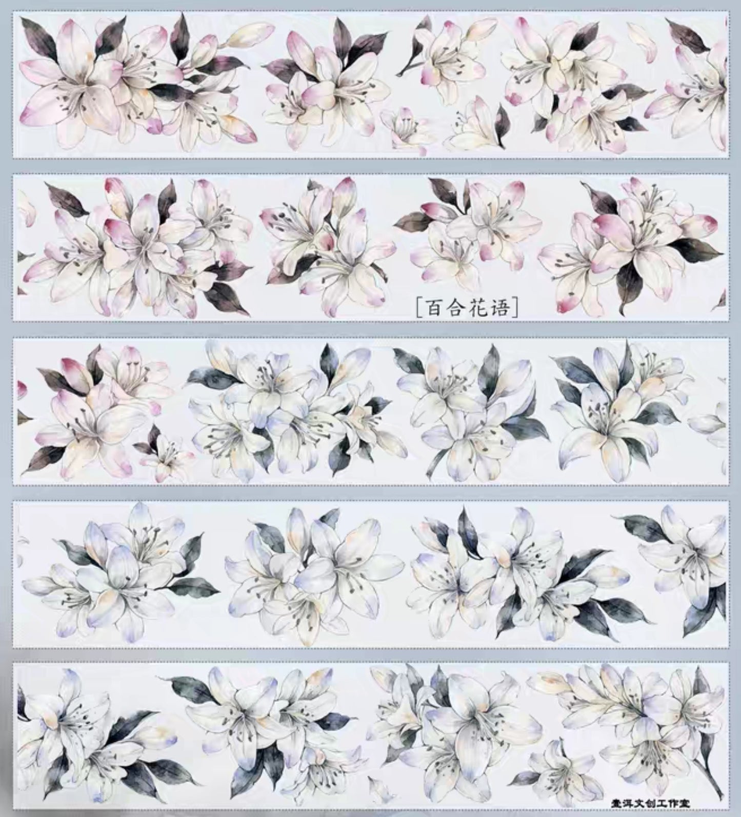 Lily Language Washi/ PET Tape