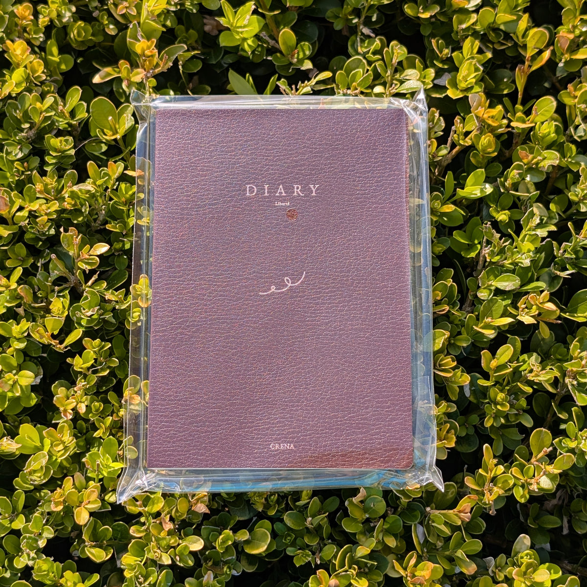Crena Undated Liberte Diary (Pre-order)