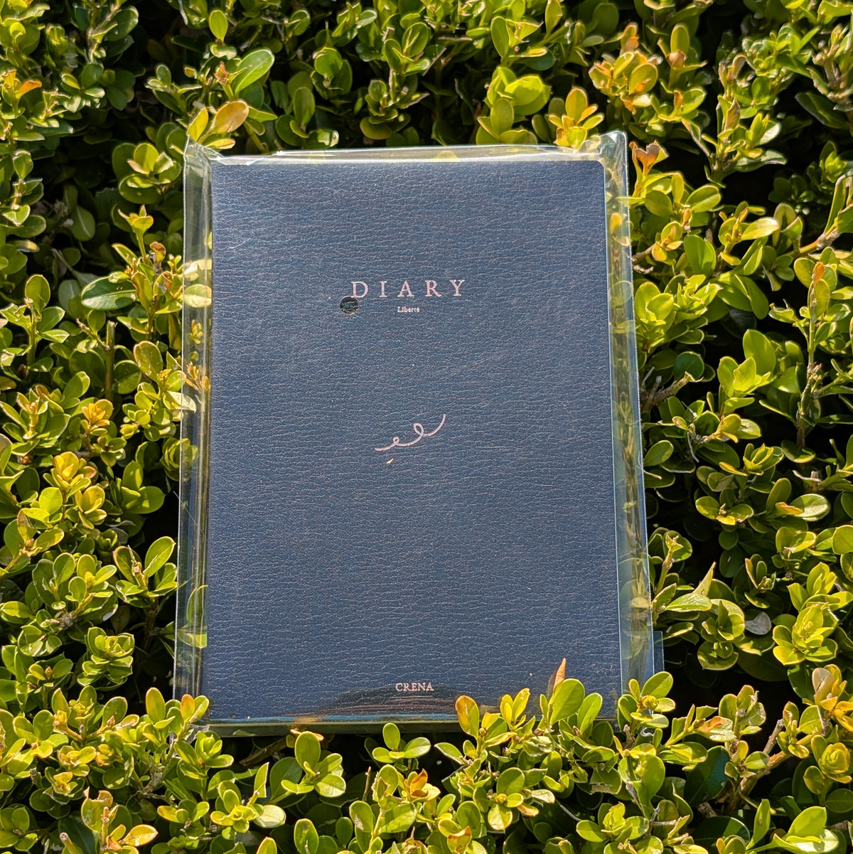 Crena Undated Liberte Diary (Pre-order)