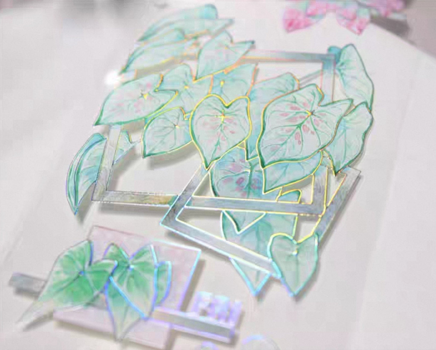 Caladiums (Angel Wings) PET Tape