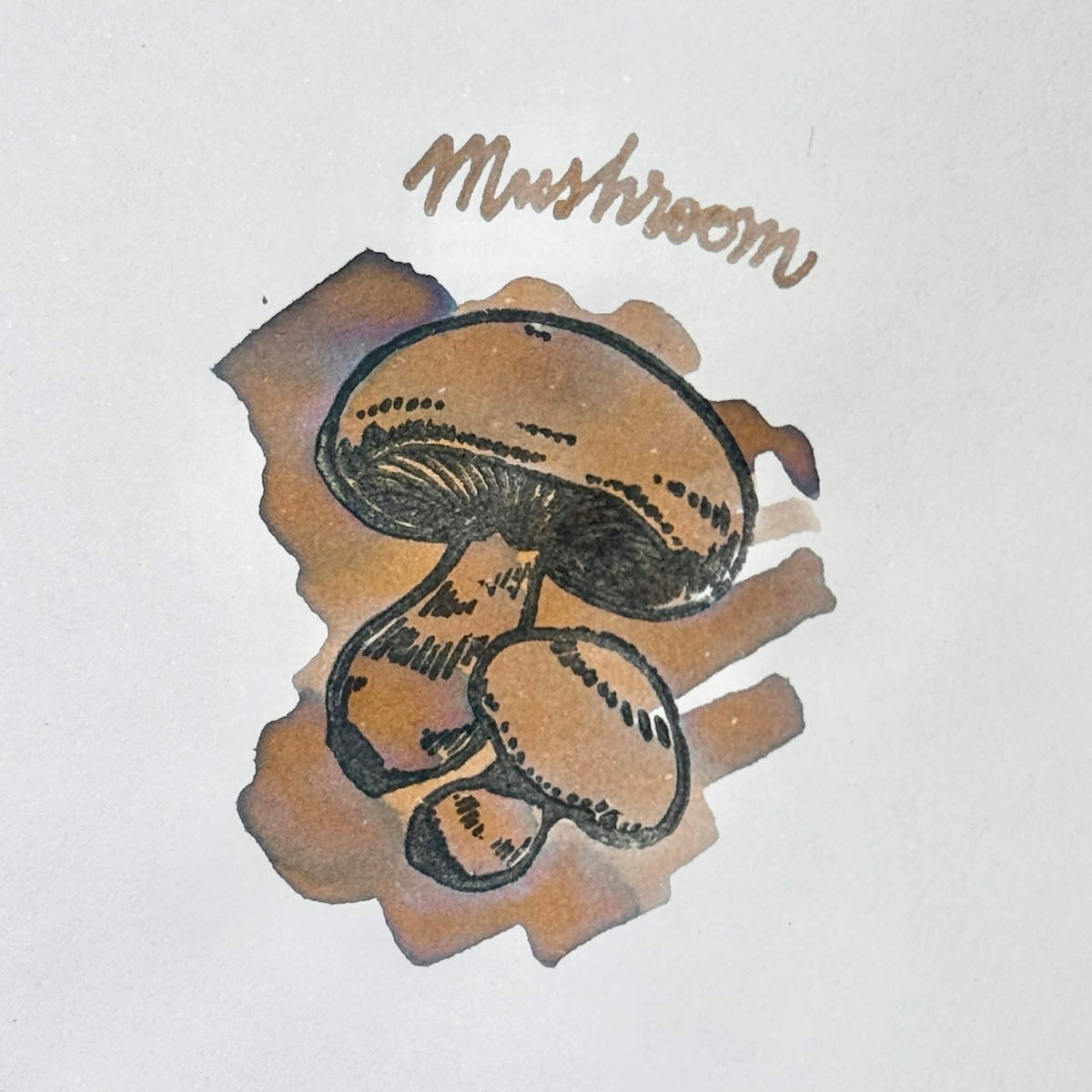 [Exclusive] Mushroom