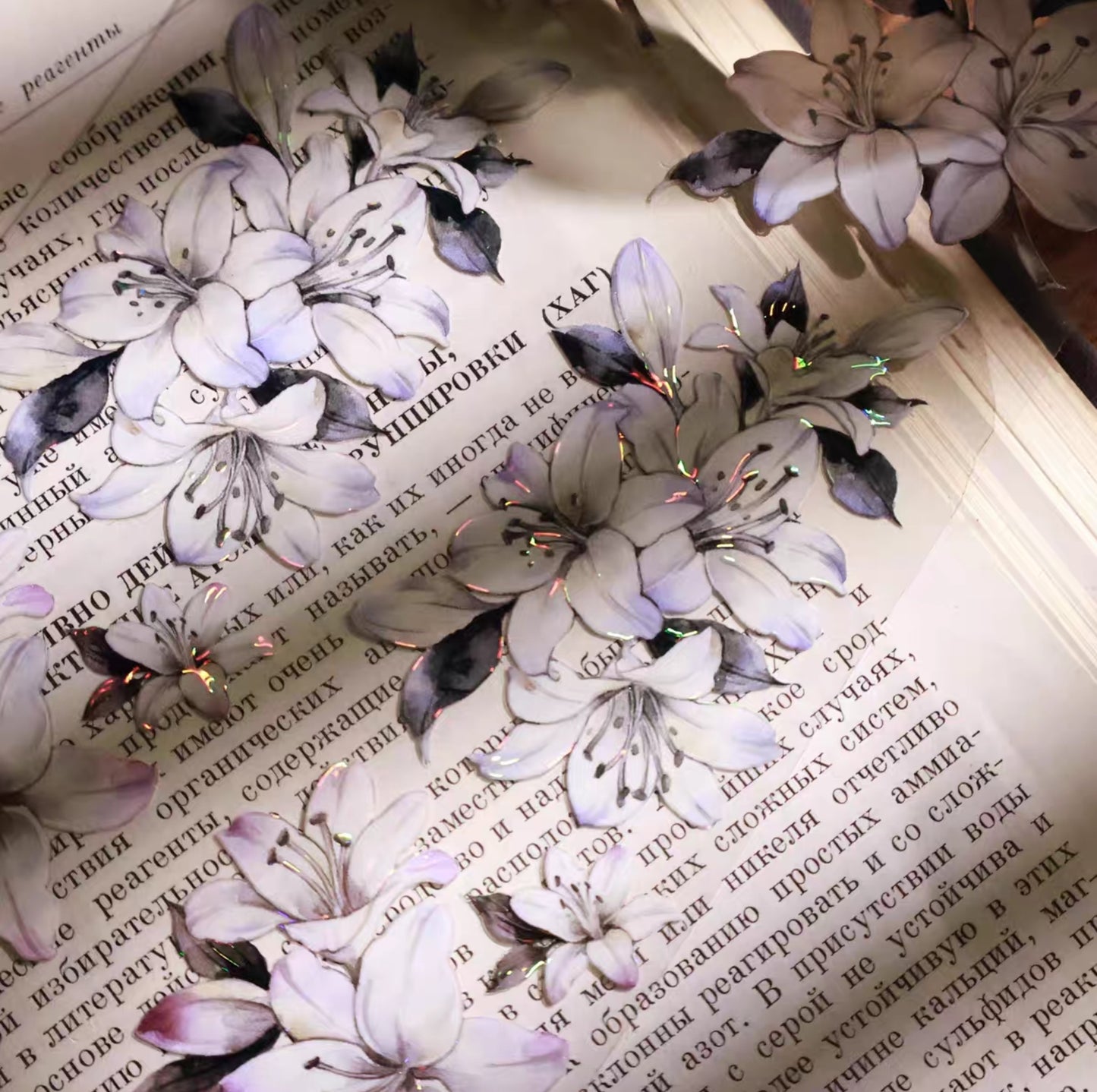 Lily Language Washi/ PET Tape