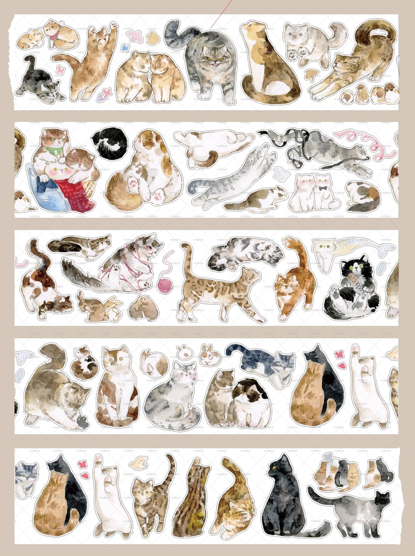 Playful Kittens Kiss-Cut Tape