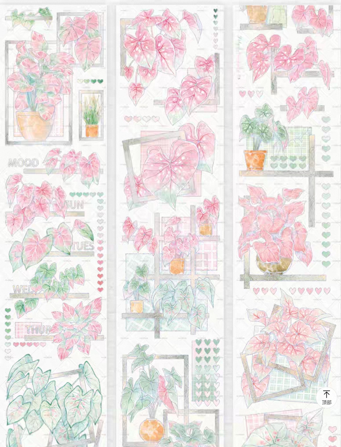 Caladiums (Angel Wings) PET Tape