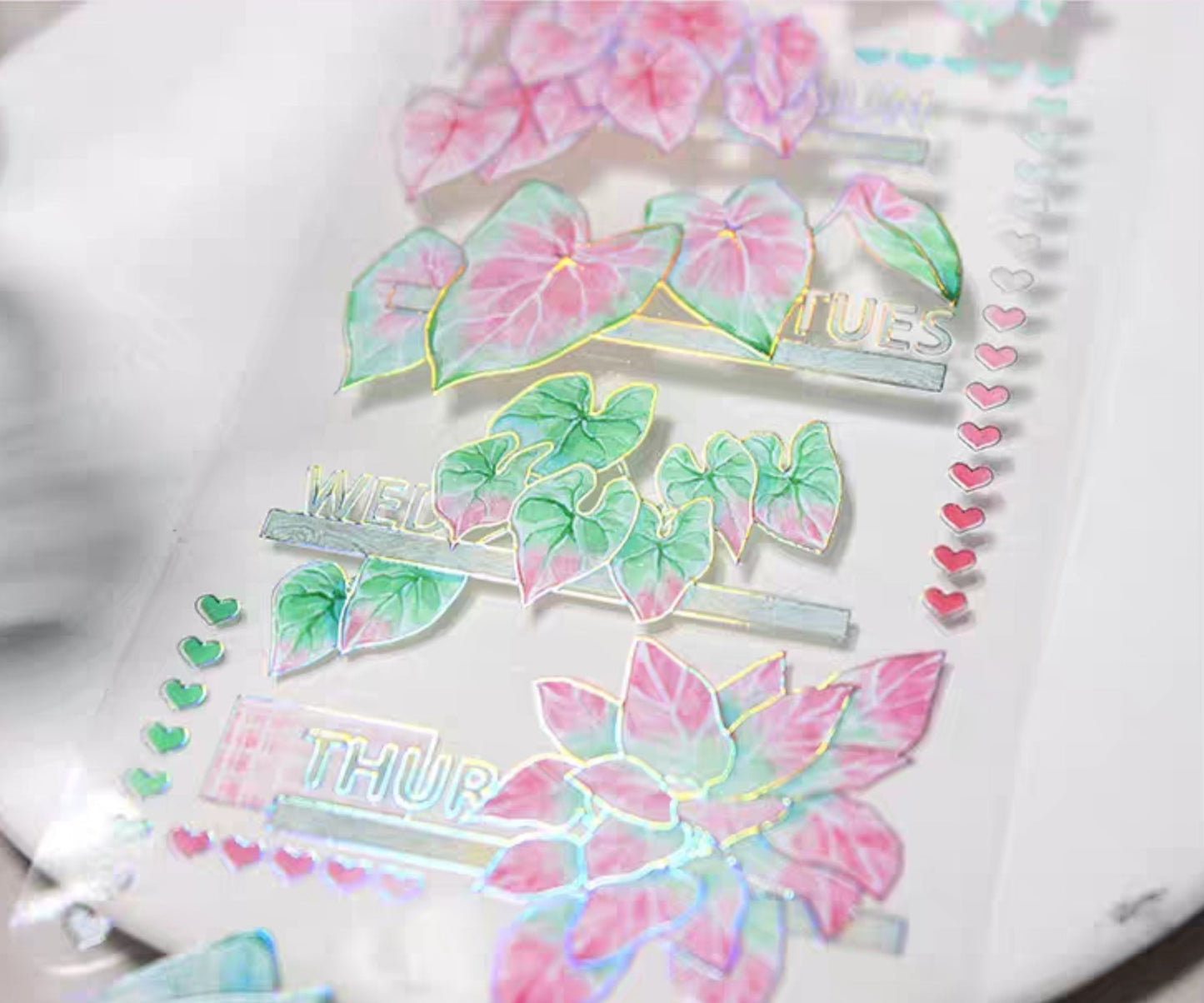 Caladiums (Angel Wings) PET Tape