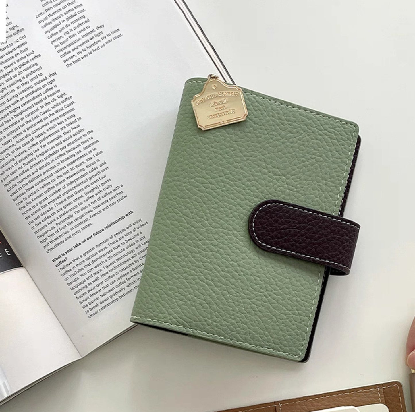 A7 / M6 Pocket Organiser - Sage Green & Dark Brown