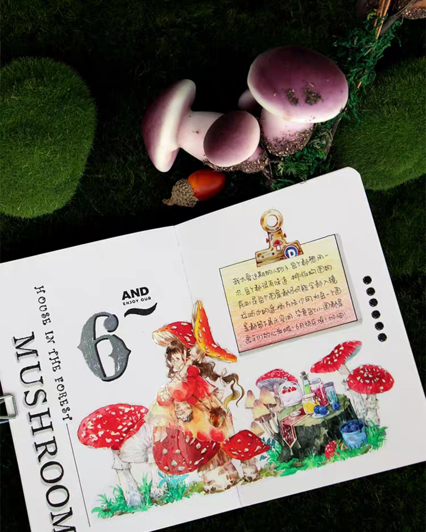 Mushroom Adventure PET Tape