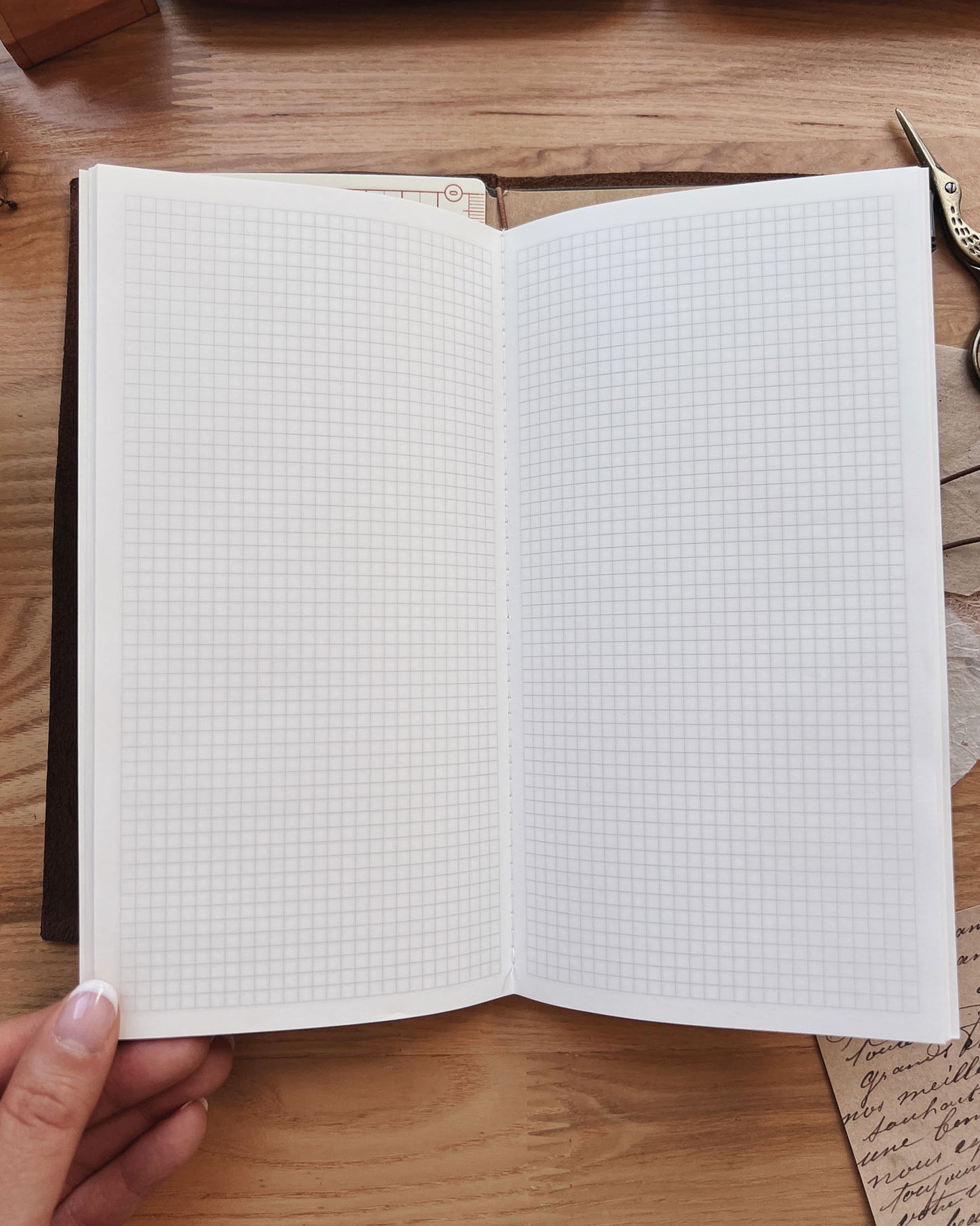 Gingko Notebook - Regular Size