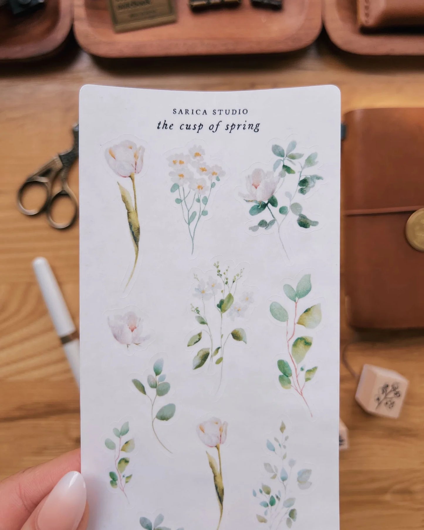 The Cusp of Spring Sticker by Sarica Studio