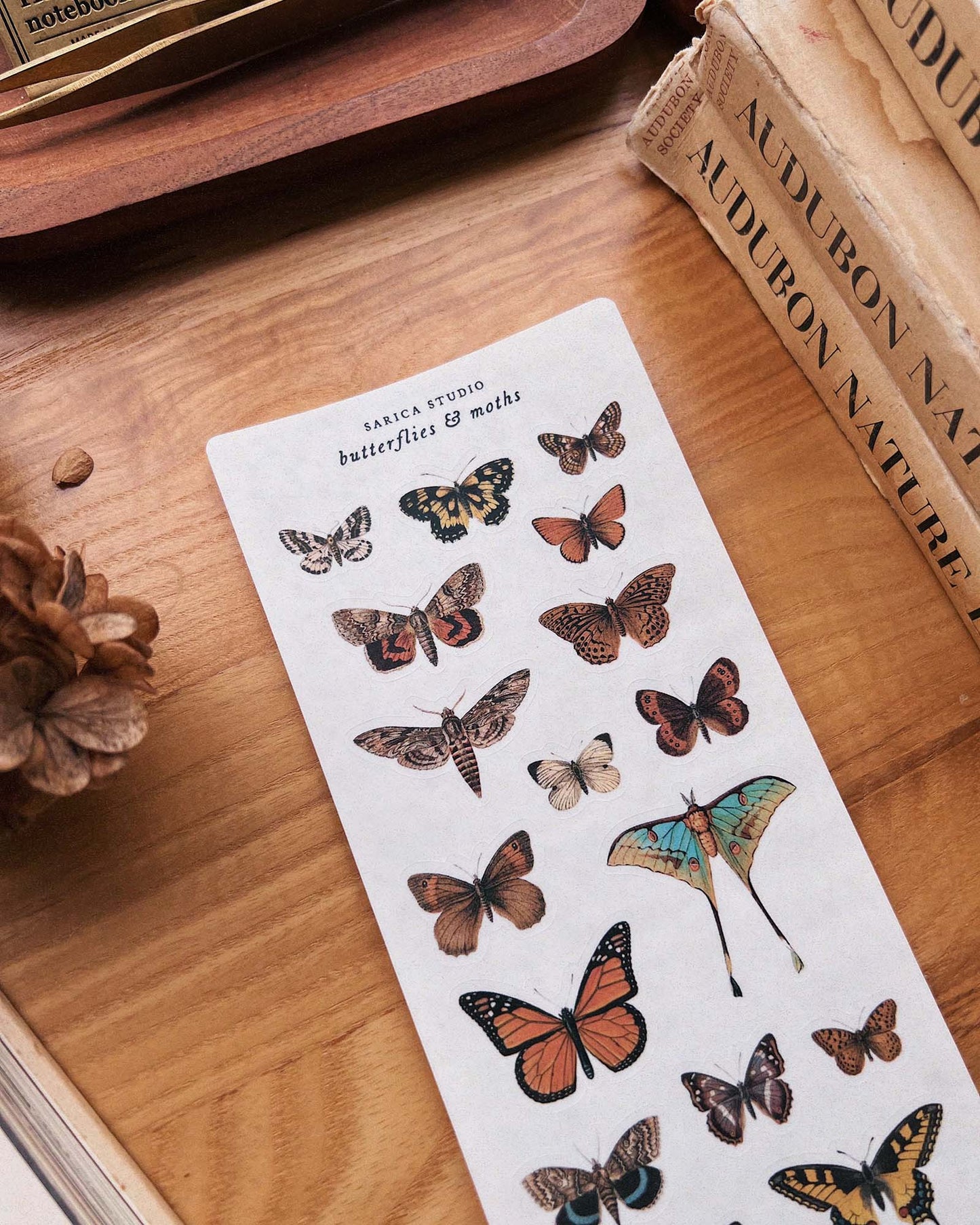 Butterflies and Moths Stickers