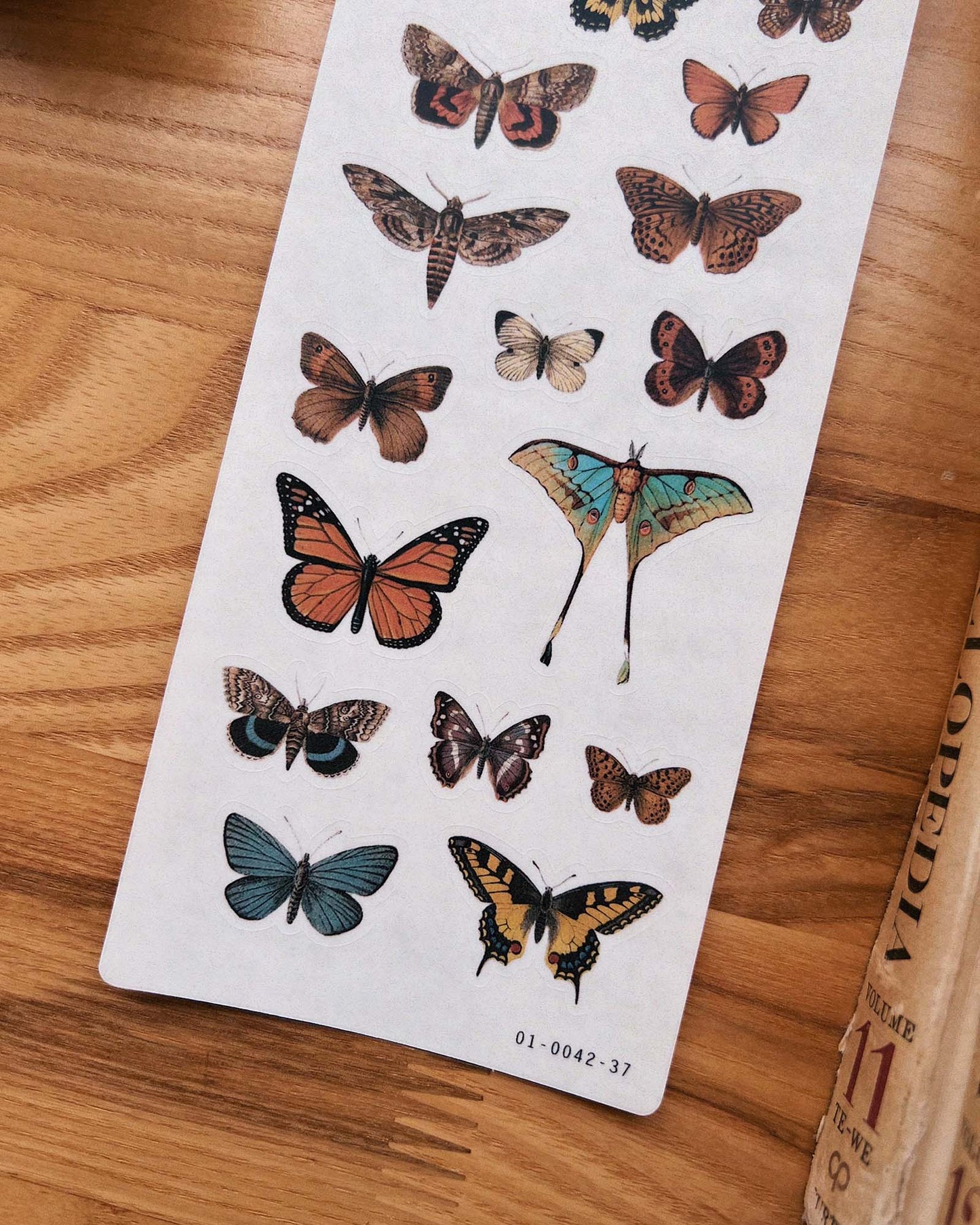 Butterflies and Moths Stickers