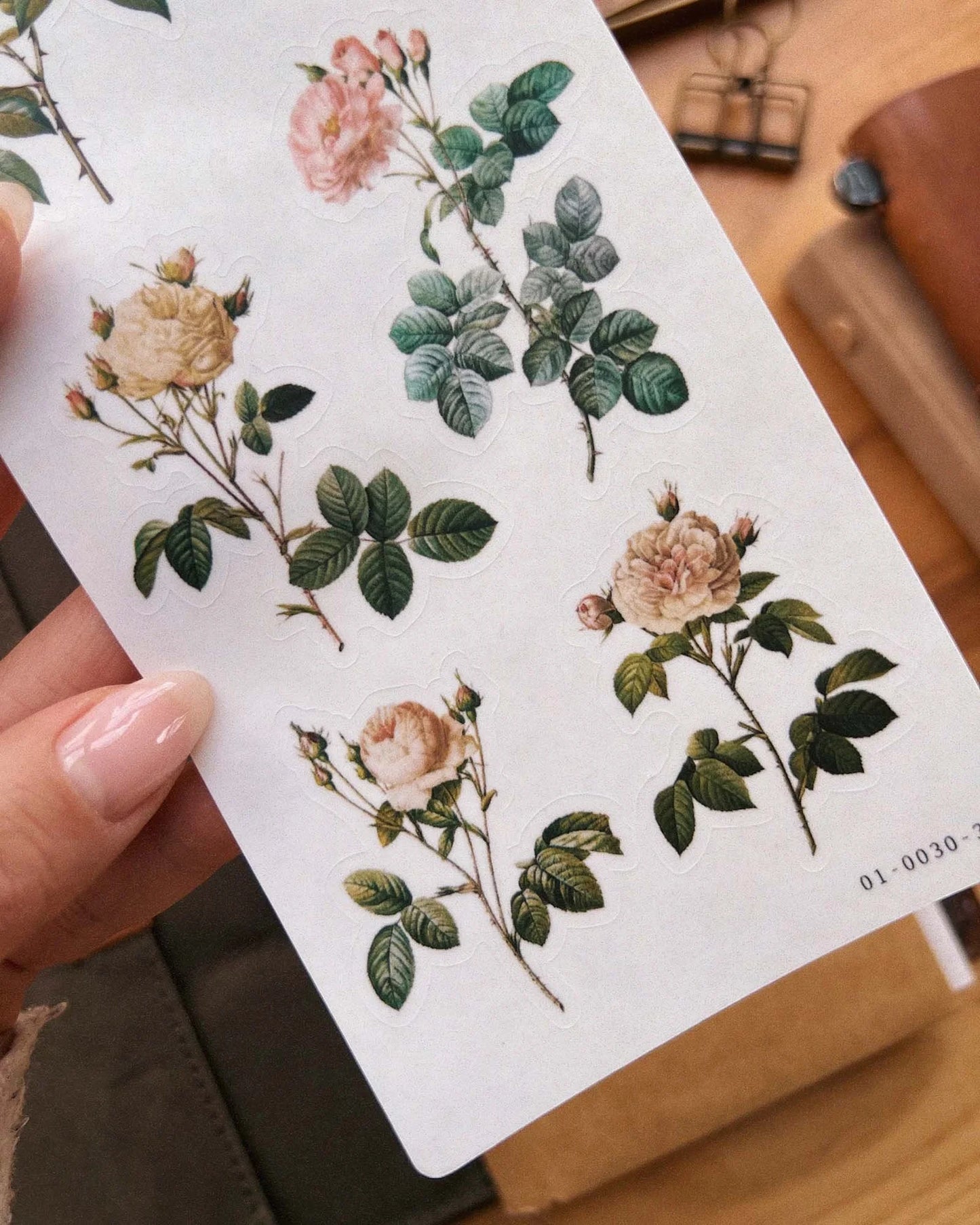 Vintage Roses 02 Sticker by Sarica Studio