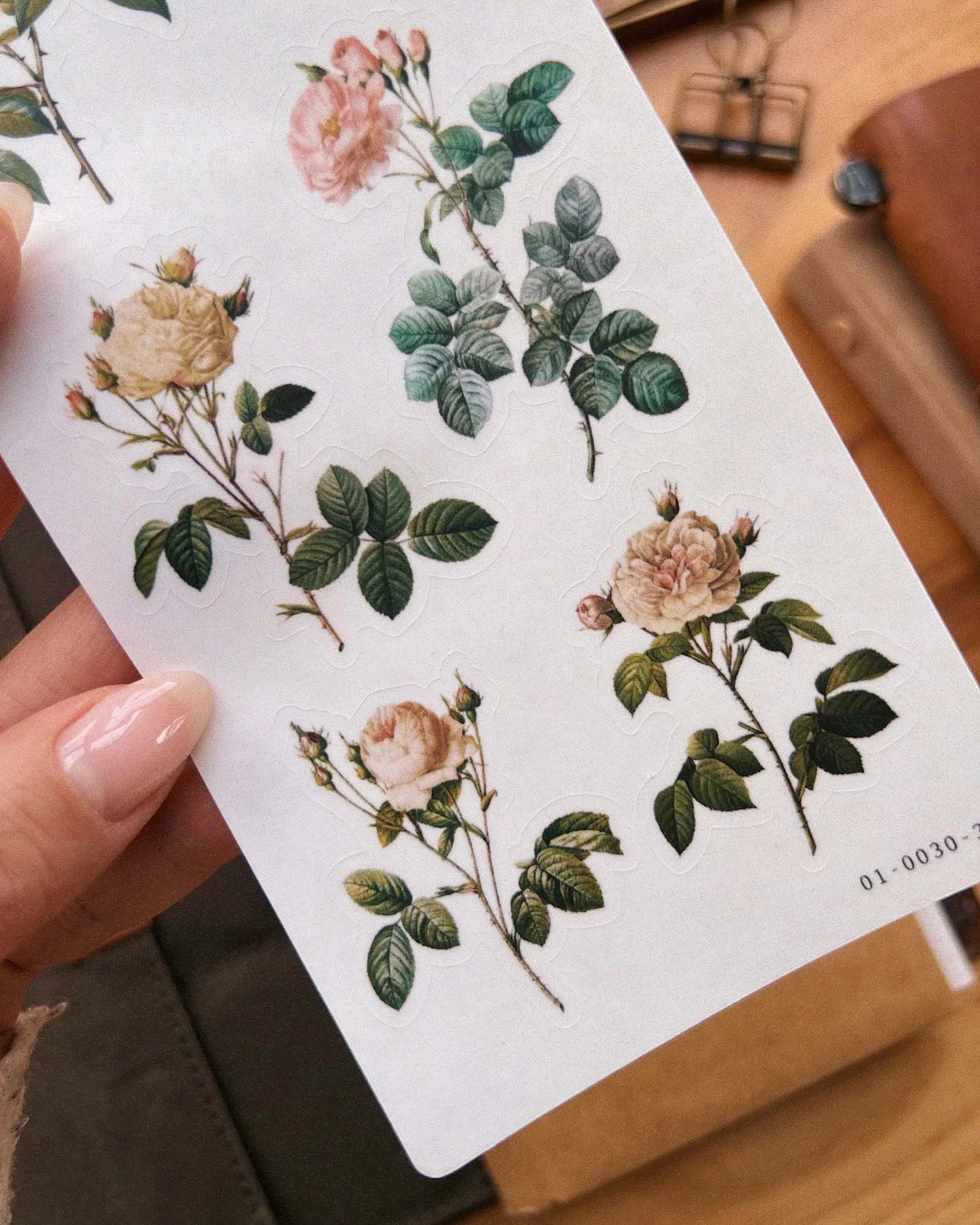 Vintage Roses 02 Sticker by Sarica Studio