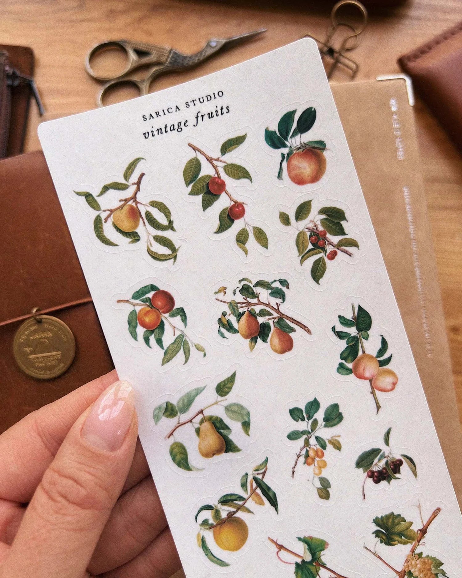 Vintage Fruits Sticker by Sarica Studio