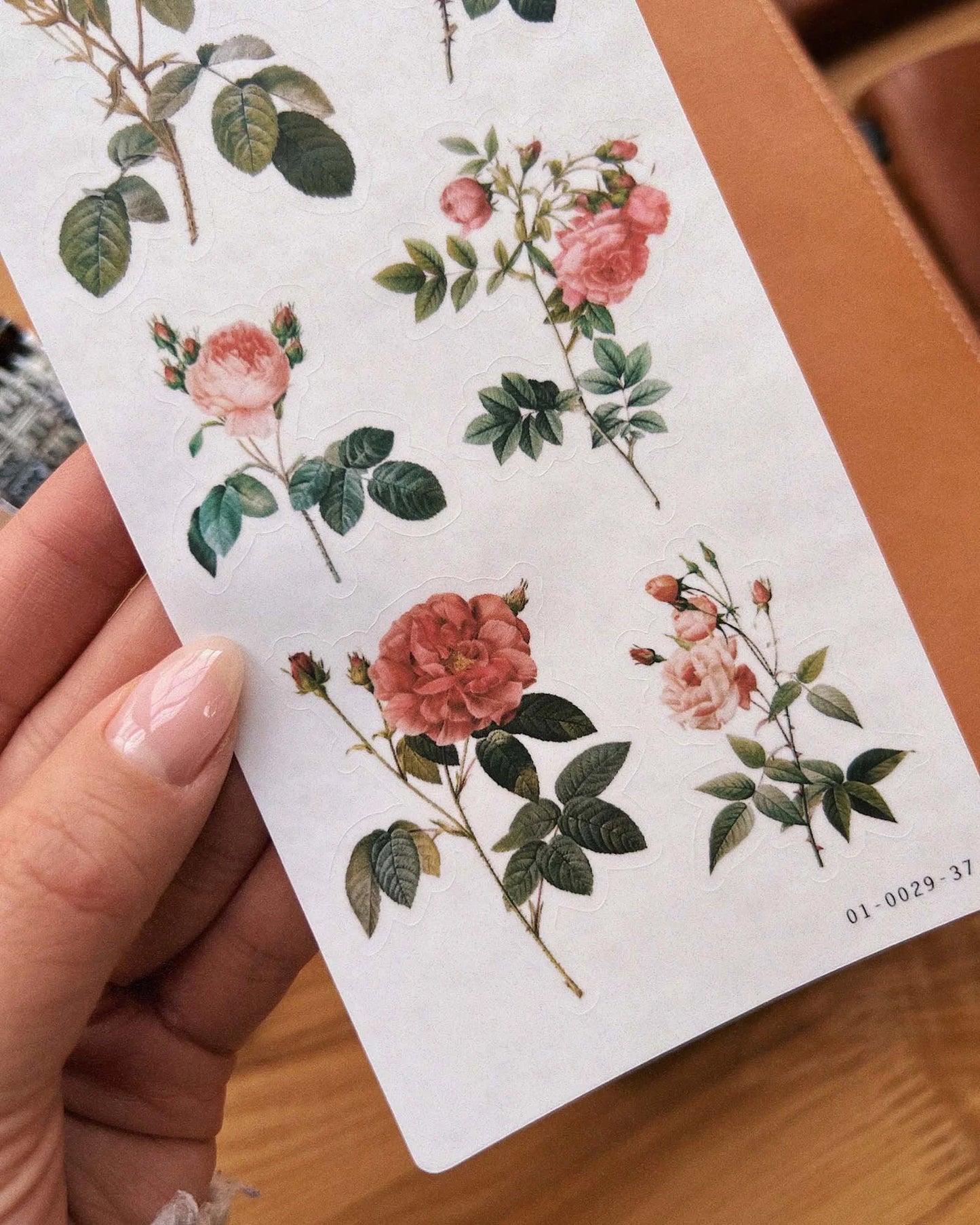 Vintage Roses 01 Sticker by Sarica Studio